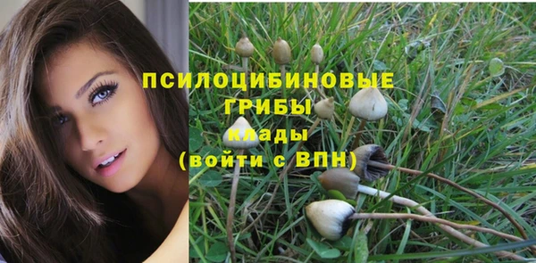 Альфа ПВП Баксан
