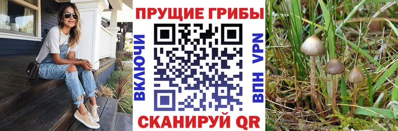 hydra рабочий сайт  Верхнеуральск  Псилоцибиновые грибы Psilocybine cubensis 